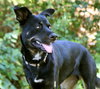 Artemis - Photo 4