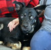Artemis - Photo 5