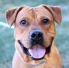 Atticus - Photo 2