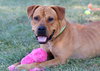 Atticus - Photo 3