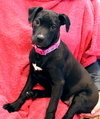 Emmylou - Photo 3