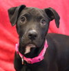 Emmylou - Photo 4
