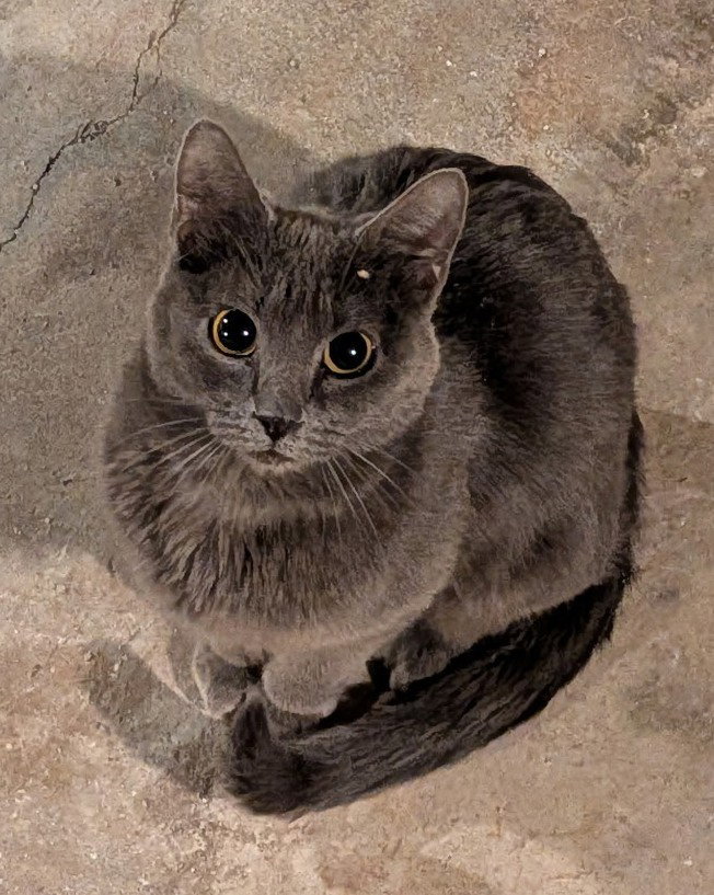 Winona Image