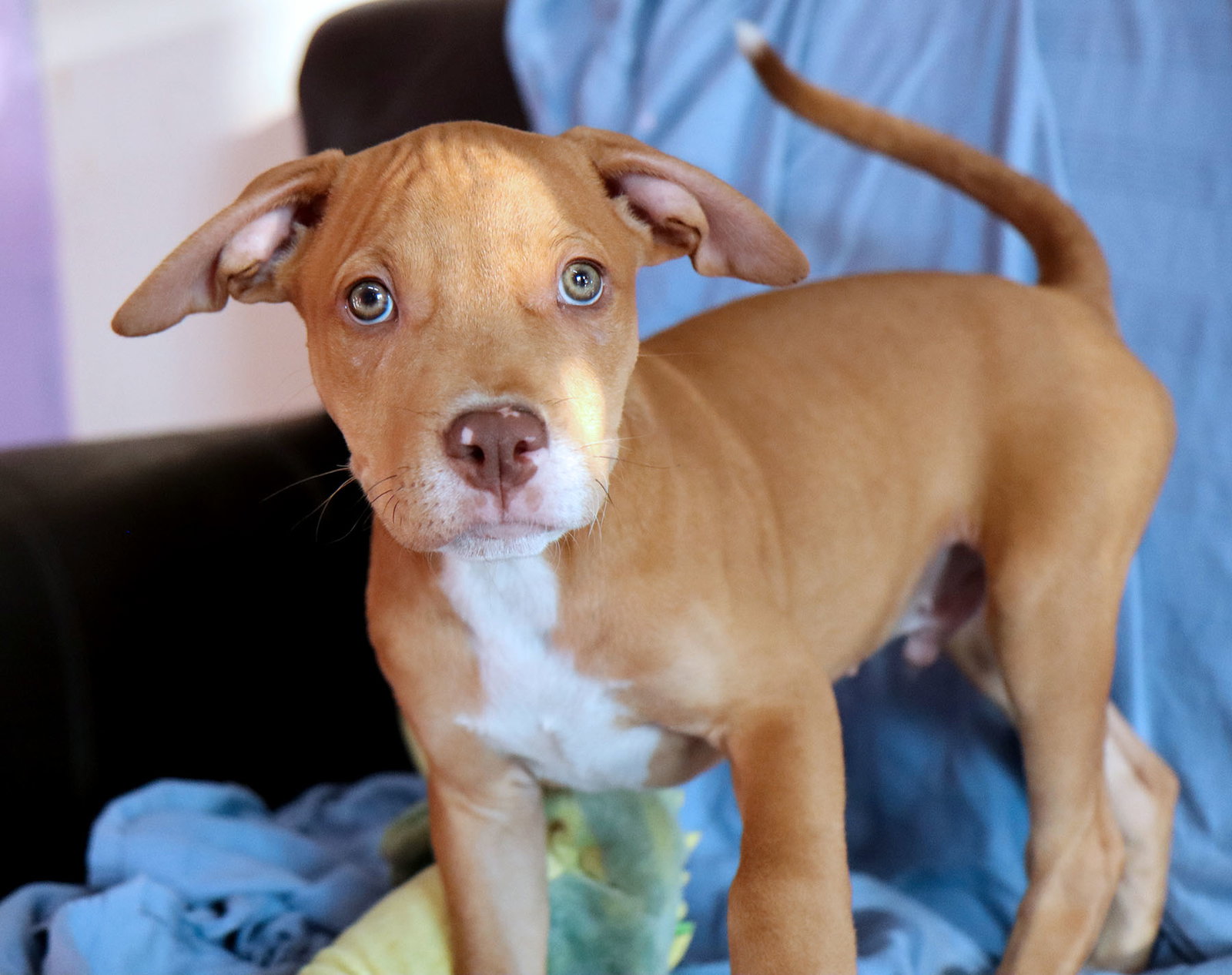 Yosemite, photo 8
