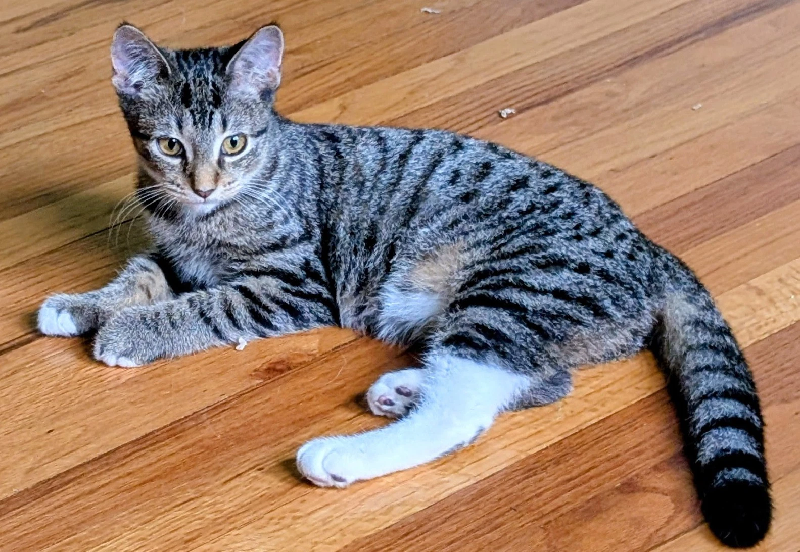Matilda