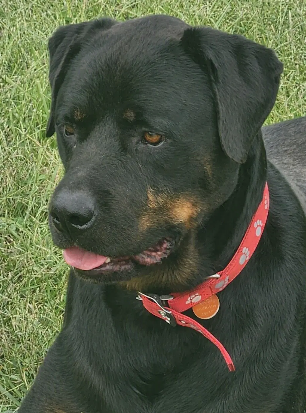 Duncan image 2