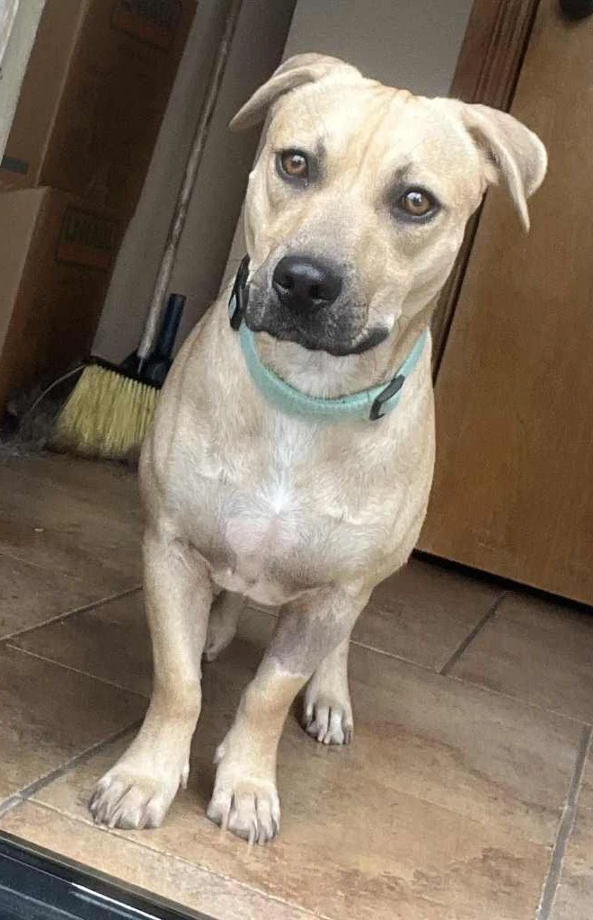 Hudson