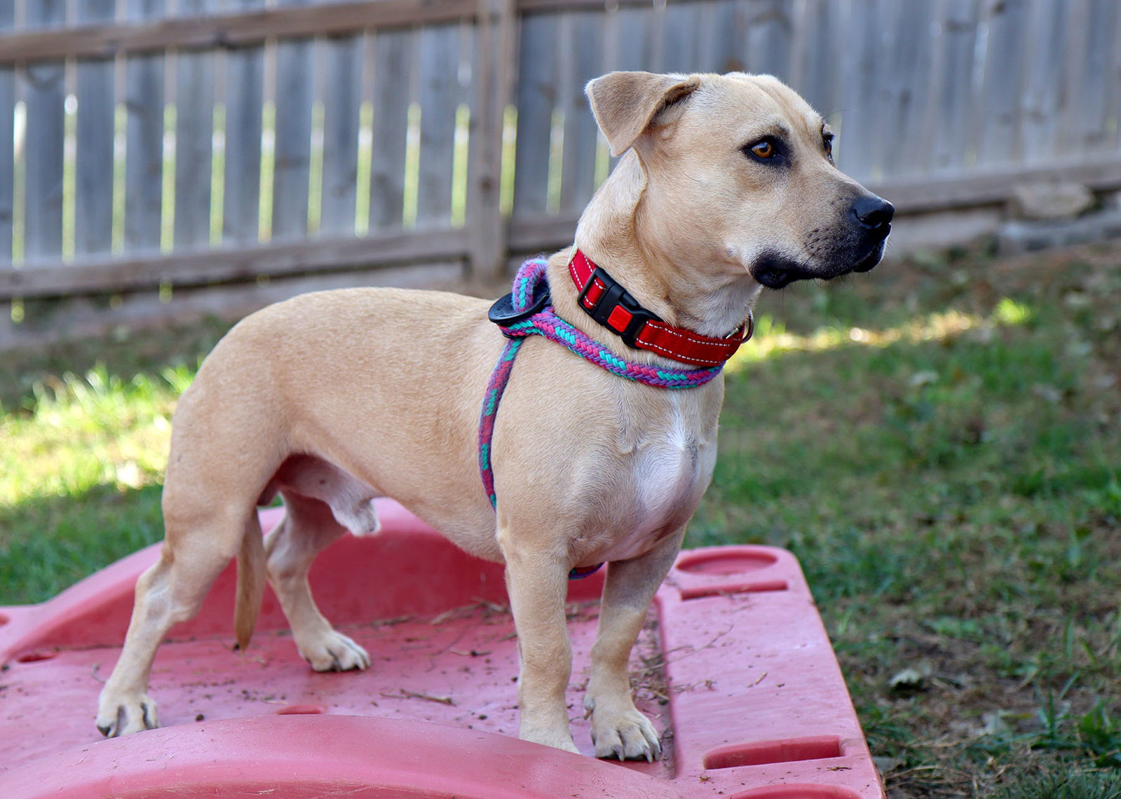 Hudson, photo 2