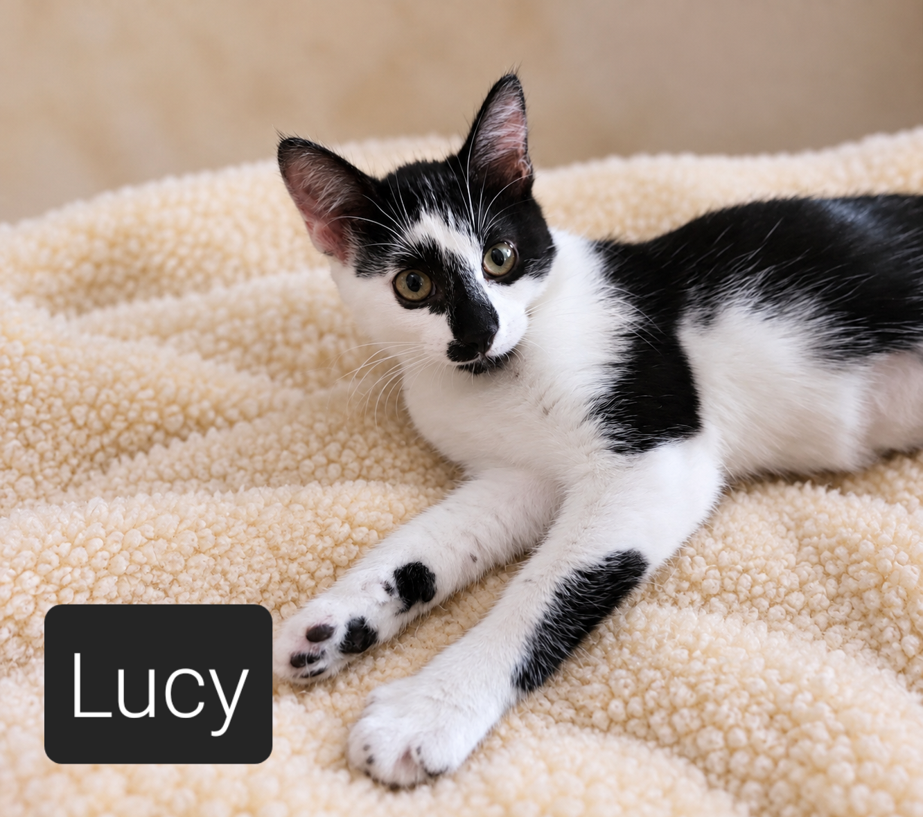 Miss Lucy