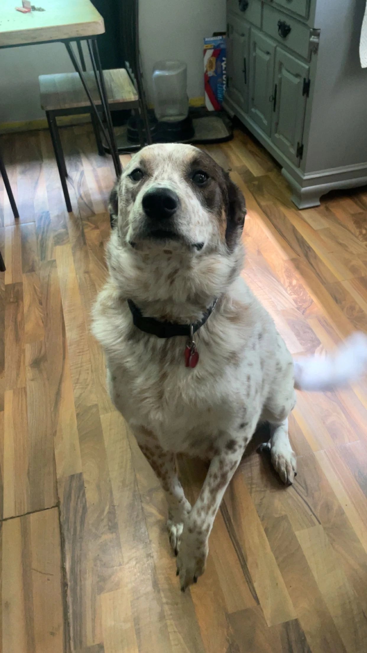 Baxter Cl