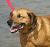 Alfonso