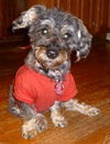 Missy Lynn