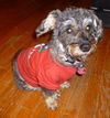 Missy Lynn