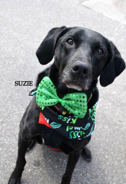 Suzie