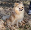 Spike