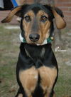 Roxanne