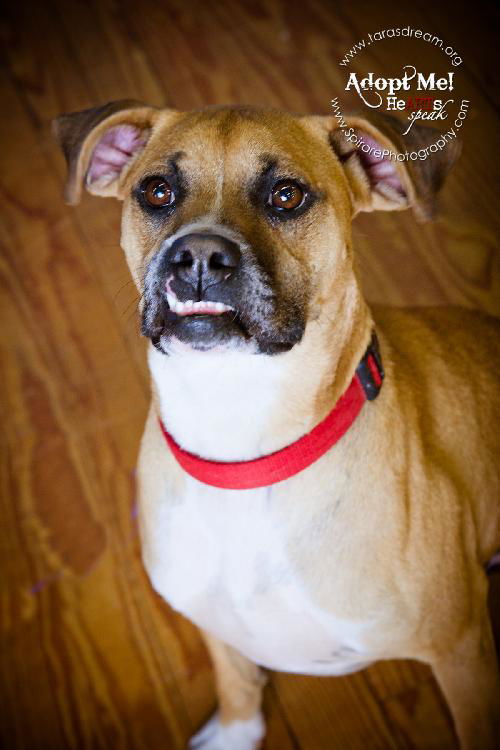 Tyson