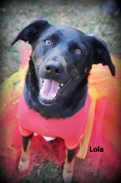 Lola