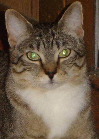Martina