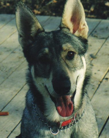 Merlin