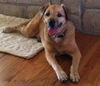 Rylee