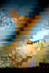 Honeycomb