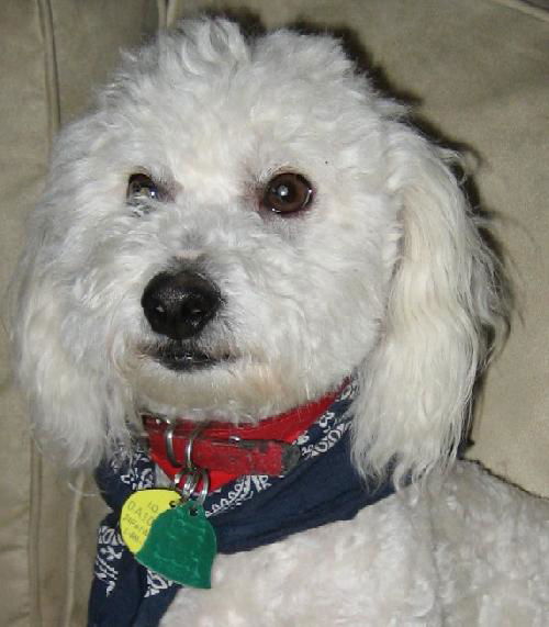 Snowball