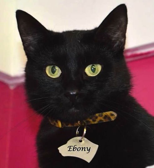 Ebony