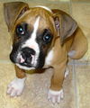 Gunther