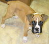 Gunther