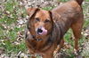 Roxie