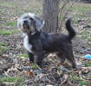Grover