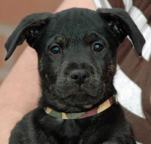 Ernie
