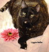 Lizzie Belle