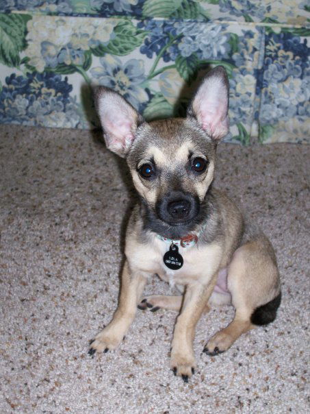 Lola *CL*