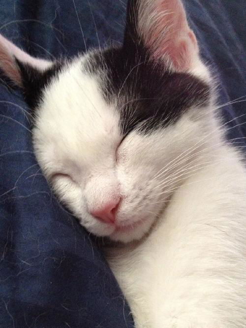 Tybalt