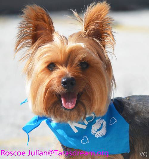 Roscoe Julian