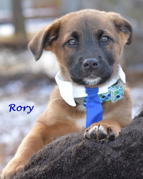 Rory