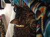Kitty *CL*