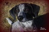 Boudreaux