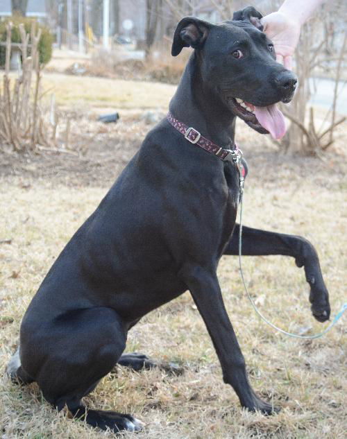 Juno
