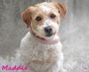 Maddie