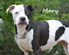Mary