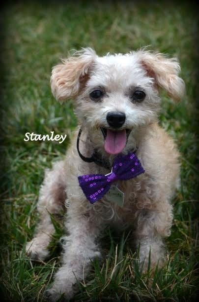 Stanley