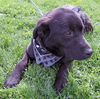 Duke