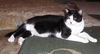 Elroy