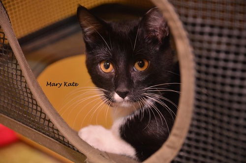 Mary-Kate