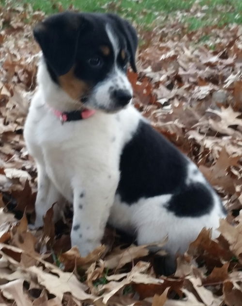 Ruthie