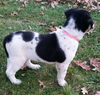 Ruthie