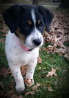 Ruthie